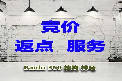 顶级SEM运营公司案例分析