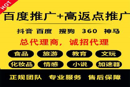 SEM推广实战：成功案例剖析